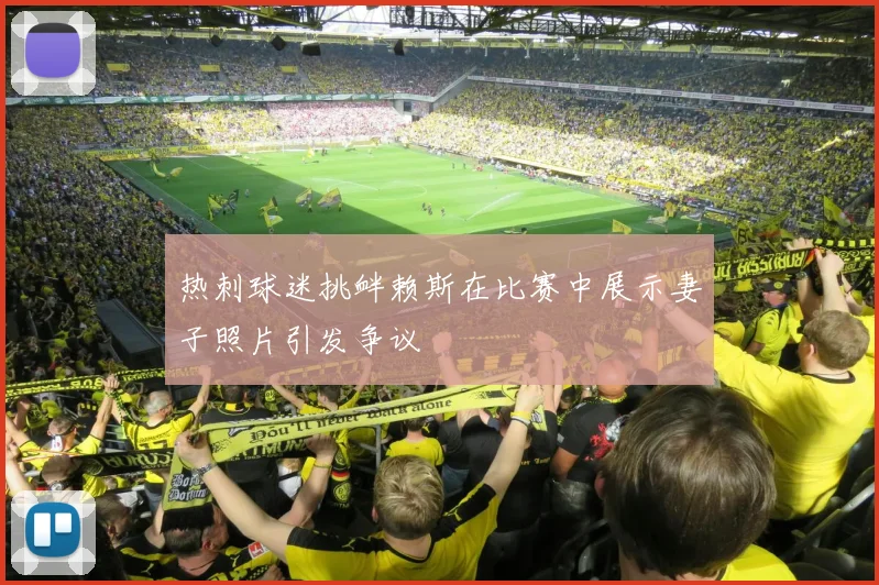 热刺球迷挑衅赖斯在比赛中展示妻子照片引发争议