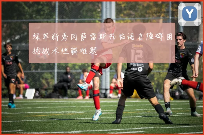 绿军新秀冈萨雷斯面临语言障碍困扰战术理解难题
